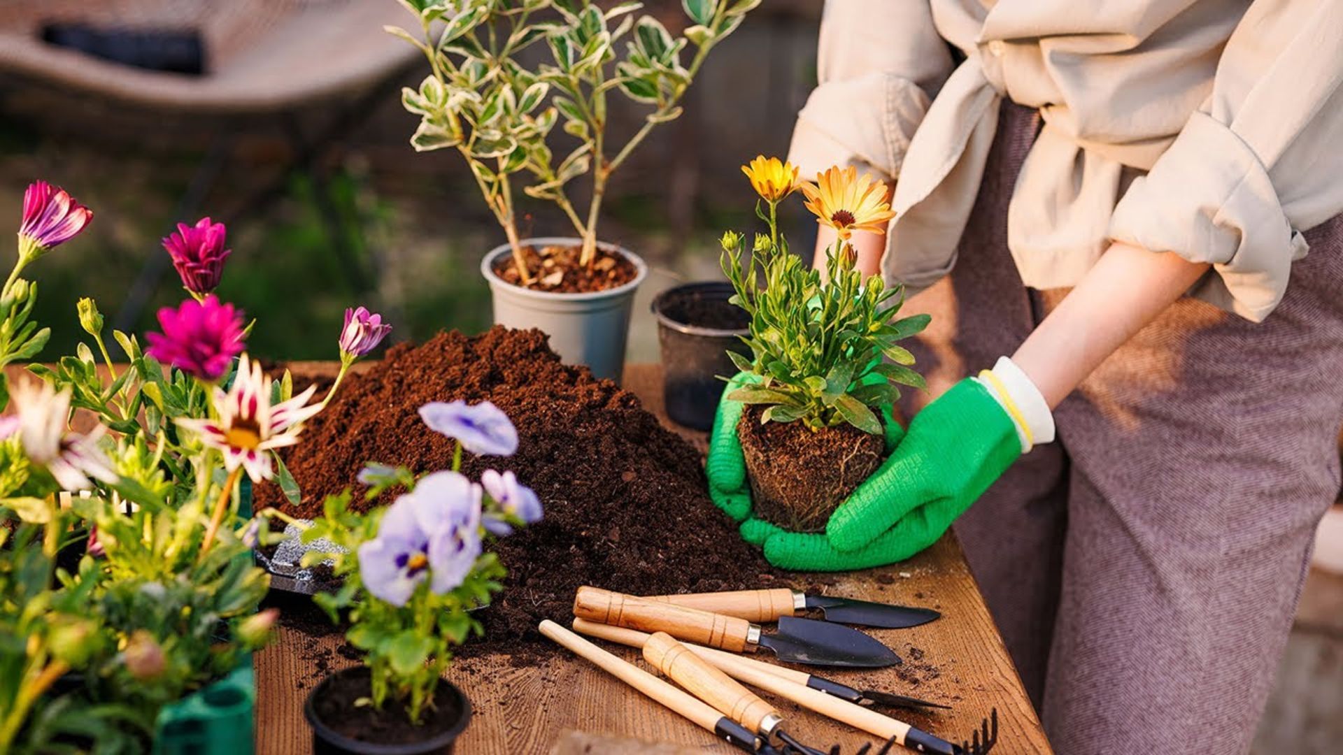 120 Gardening Jokes & Puns 