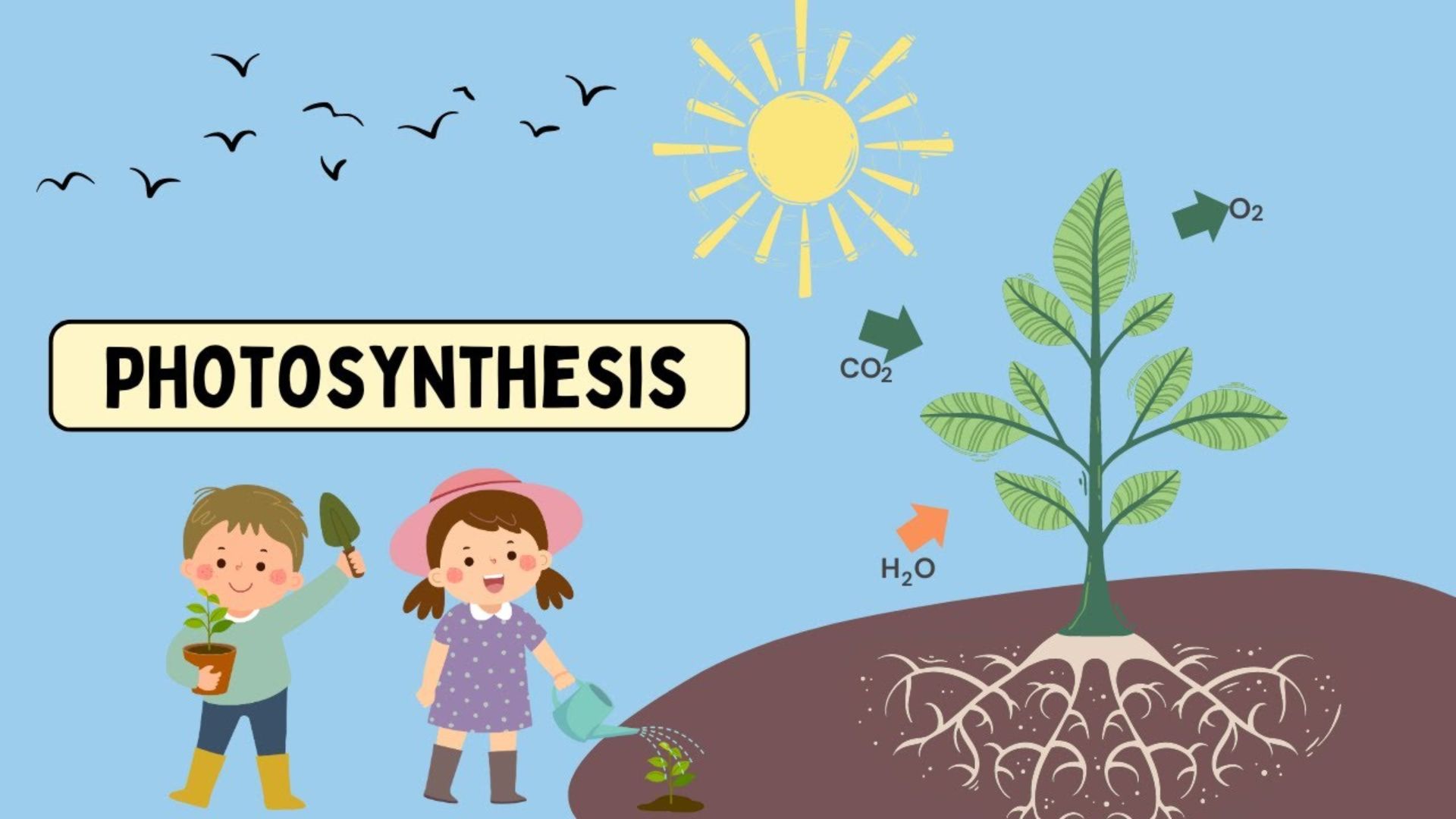 265+ Photosynthesis Jokes That Make Everyone Laugh Fast