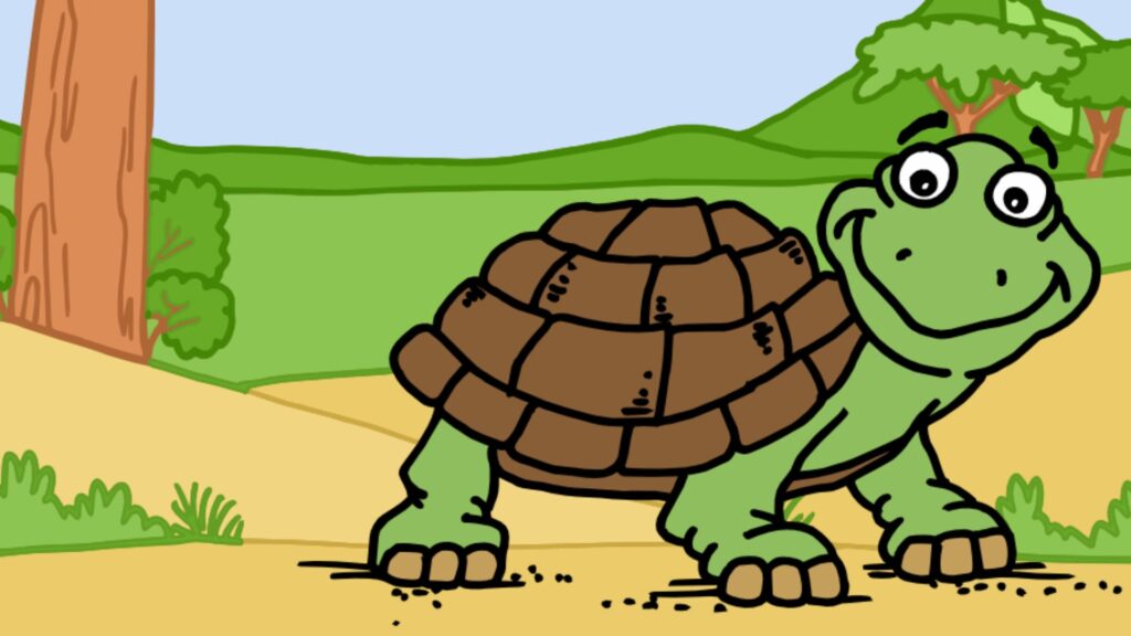 🐢 Home Turtle jokes
