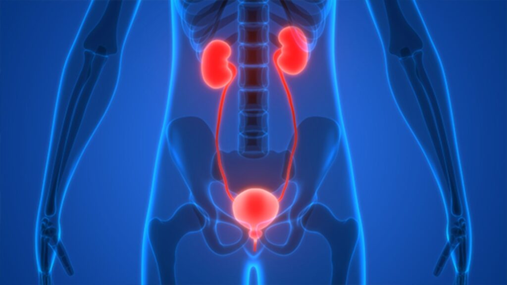 Bladder Behavior Banter