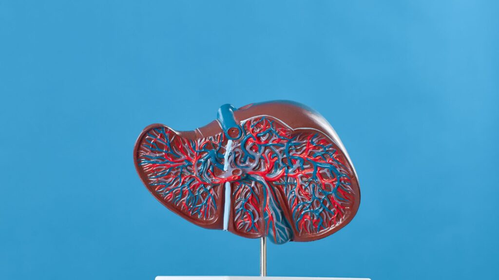 Gallbladder One-Liners